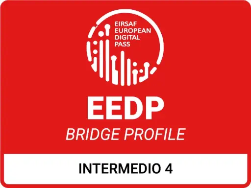 [EEDP_4] EEDP BRIDGE PROFILE